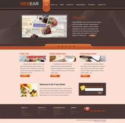 跨越時區的創新 一款全球化軟件開發作品的誕生